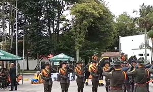 Miniatura video 6