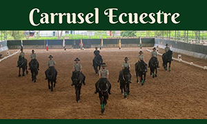 Postal con información del Carrusel