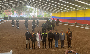 Giro interior de caballos en maniobra de espejo del carrusel